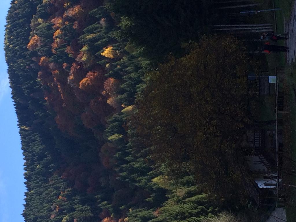 Hotel Rifugio Pranolz Trichiana Zewnętrze zdjęcie