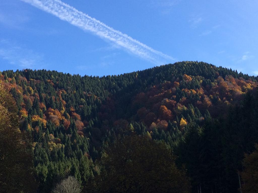 Hotel Rifugio Pranolz Trichiana Zewnętrze zdjęcie